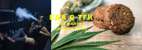 индика Дмитриев