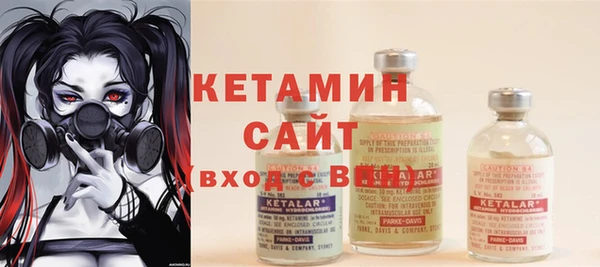 индика Дмитриев