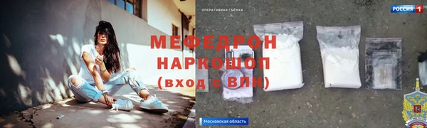 индика Дмитриев