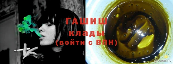 индика Дмитриев