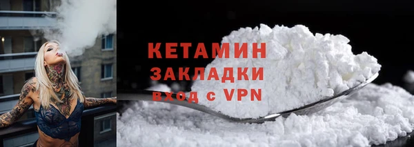 индика Дмитриев