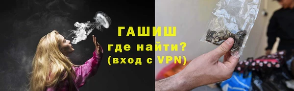 индика Дмитриев