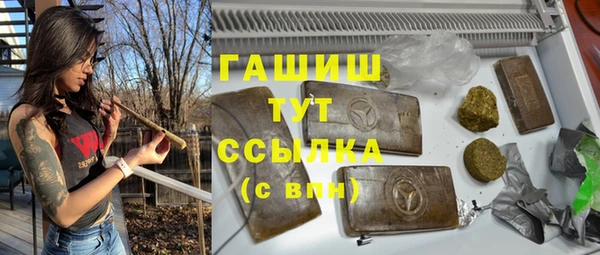 индика Дмитриев