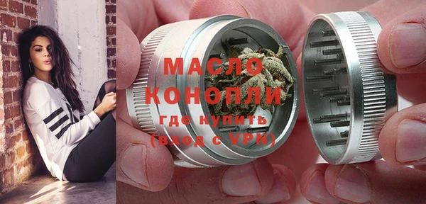 индика Дмитриев