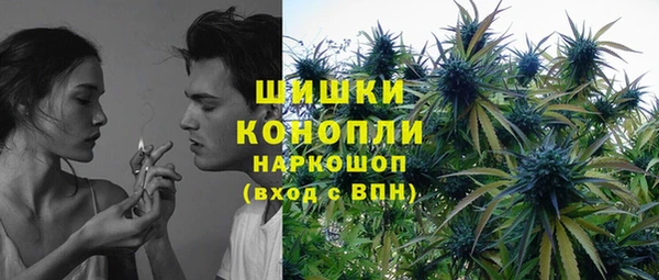 гашик Яровое
