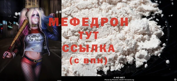 индика Дмитриев