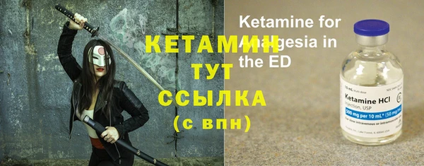 индика Дмитриев