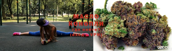 индика Дмитриев