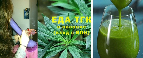 индика Дмитриев