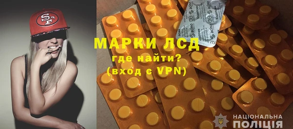 индика Дмитриев