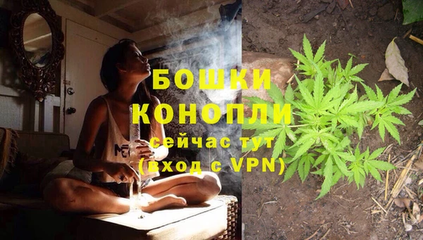 индика Дмитриев
