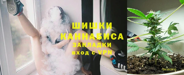 амф Дмитров