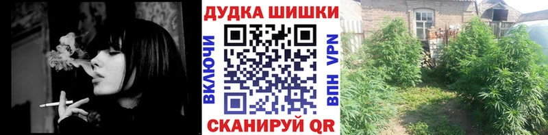 дарнет шоп  Судогда  Конопля VHQ 